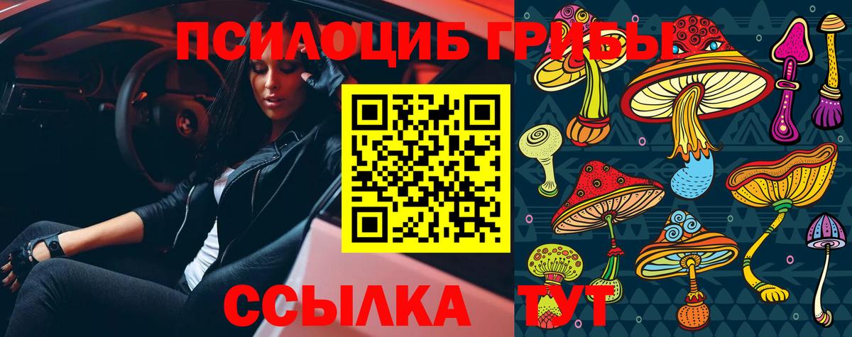 Партизанск  Псилоцибиновые грибы мухоморы  Вход с VPN  Галлюциногенные грибы MAGIC MUSHROOMS 